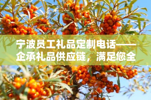 宁波员工礼品定制电话——企承礼品供应链，满足您全方位的定制需求