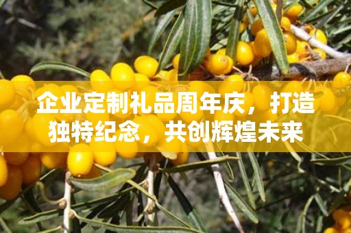 企业定制礼品周年庆，打造独特纪念，共创辉煌未来